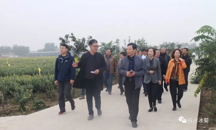 云臺冰菊基地發(fā)生了什么？一批批領(lǐng)導(dǎo)專家團(tuán)隊(duì)前來！